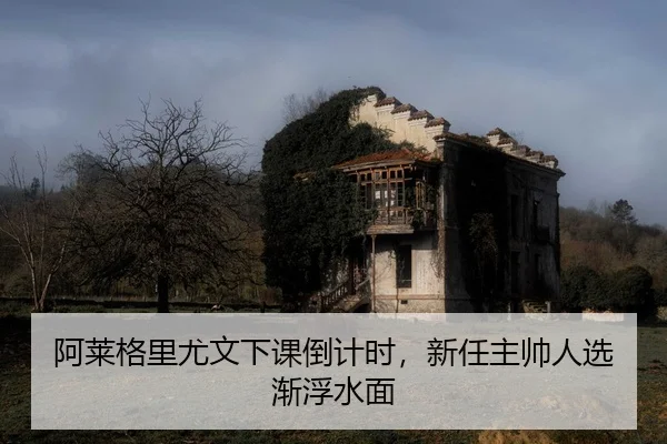 a-lai-ge-li-you-wen-xia-ke-dao-ji-shi-xin-ren-zhu-shuai-ren-xuan-jian-fu-shui-mian-2-914.jpg