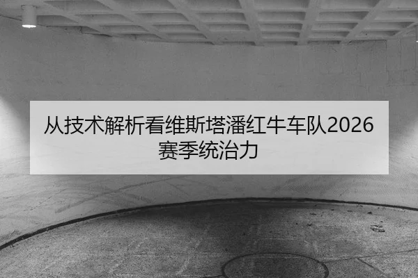 cong-ji-shu-jie-xi-kan-wei-si-ta-pan-hong-niu-che-dui-sai-ji-tong-zhi-li-2-705.jpg
